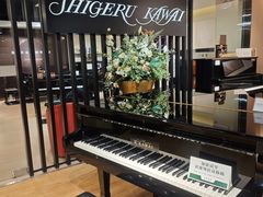 -柏斯音乐艺术中心·钢琴·吉他(上音店)