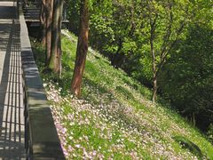 -西湖风景区-江洋畈生态公园