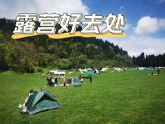 -武陵山森林公园