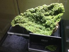 -中华赏石园