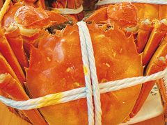 -品鲜村农家菜·阳澄湖大闸蟹(总店)