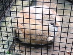 -海南热带野生动植物园