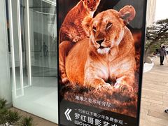 -罗红摄影艺术馆