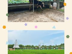 -金稼园·金平湖农家菜