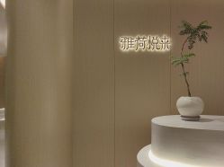 -雅荷悦来双美