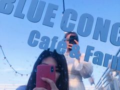 -Blue Concept Cafe&Farm·關於藍