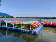 -上海海湾国家森林公园