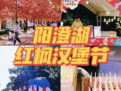 -阳澄湖半岛旅游度假区