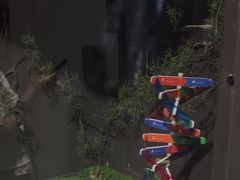 -BlueGame深蓝密室逃脱真人NPC(京投港·长阳店)