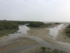 -北海金海湾红树林生态旅游区