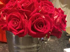 -华豫川酒家(双子塔店)