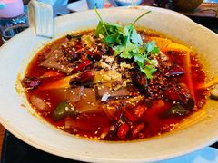 招牌毛血旺-映水芙蓉(上海万象城店)