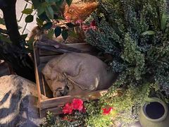 -老牌坊云南鱼豆花火锅(哈西万达店)
