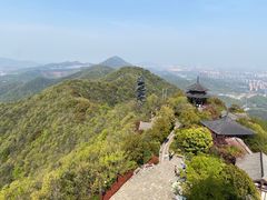 -杭州半山国家森林公园