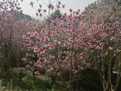 -宜昌富力皇冠假日酒店·咖啡1号西餐厅