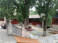 -大觉寺-停车场
