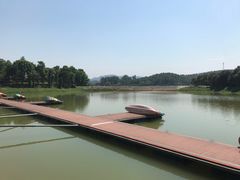 -美的鹭湖森林度假区