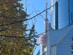 -陆家嘴中心绿地