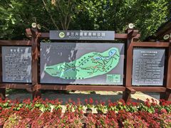 -茅兰沟国家森林公园