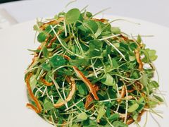 -禧宴Joyous Restaurant(禧园店)