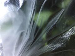 -世纪联华超市(外海店)