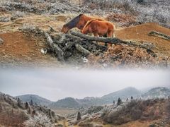 -武陵山森林公园