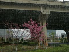 -东方航空(虹桥路店)