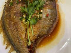 -勇盛潮汕浅海鱼(黄岐名雅路店)