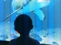 -沈阳海洋探索中心