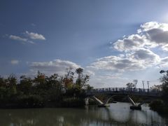 -上海长兴岛郊野公园