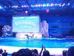 -华夏文旅海洋公园