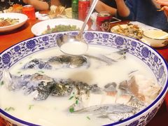 -全乐鱼馆·淳牌有机鱼直营店