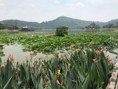 -顺峰山公园