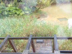 android_upload_pic-黔蘑菇四季餐厅(观山湖店)