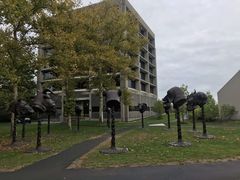 -普林斯顿大学