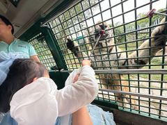 -深圳野生动物园