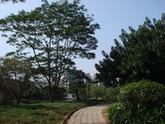 景点-南沙蒲洲花园