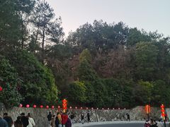 -千岛湖天屿景区