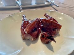 脆皮妙龄鸽-新荣记(新源南路店)