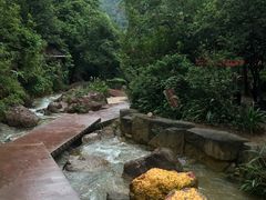 -南海湾森林生态园