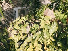 -至尚形象·化妆服饰搭配礼仪培训