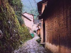 -杨家堂村