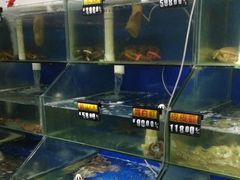 -雅逸居海鲜小厨