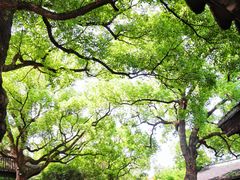 -惠山古镇·寄畅园