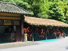 -神龙峡风景区