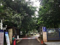-张坝桂圆林公园