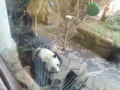 -济南野生动物世界