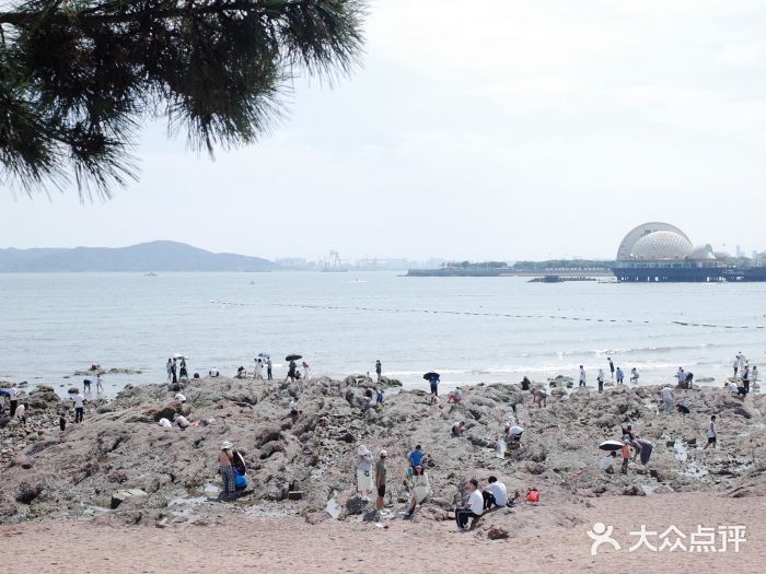 栈桥景区图片