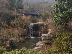 -习家池
