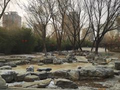 -莲花池公园